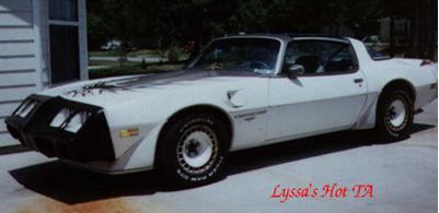 my transam