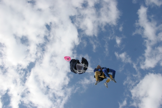 Let the Sun Shine in!