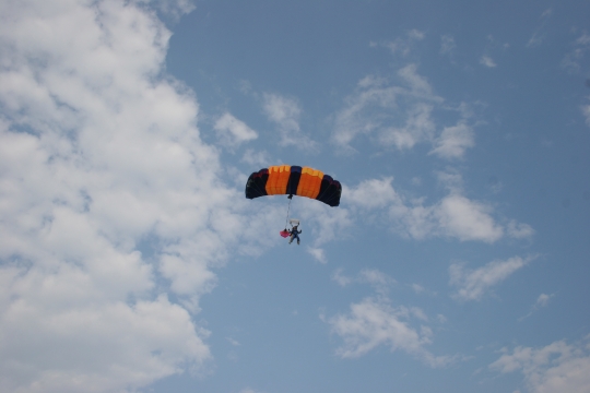 Let the Sun Shine in!