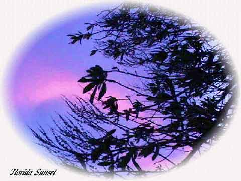 Florida Sunset