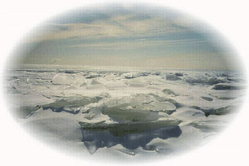 Lk Erie under ice
