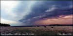 shelfcloud.east.from_gowshill.jpg (24249 bytes)