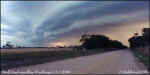 shelfcloud.road_13.3.00.jpg (23922 bytes)