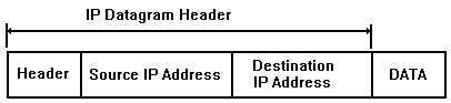 IP datagram