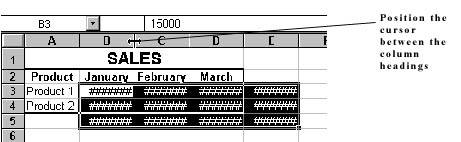 Adjusting the size of columns