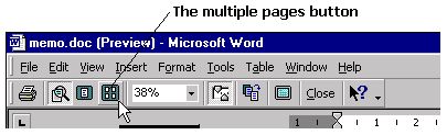 The multiple pages button