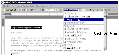 Select the Arial font