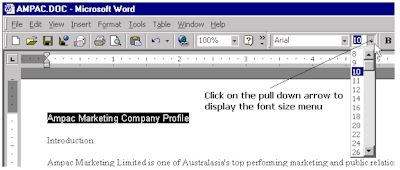 Access the font menu
