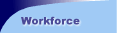 Our workforce