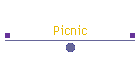 Picnic