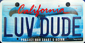 California - LUVDUDE