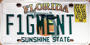 Florida - F1GMENT