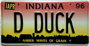 Indiana - D DUCK