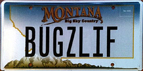Montana - BUGZLIF