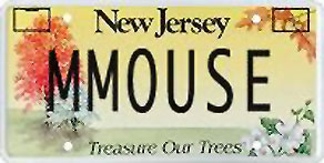 New Jersey - MMOUSE