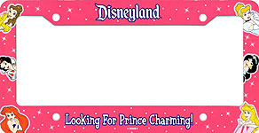 Disneyland Looking For Prince Charming!