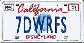7DWRFS Disneyland Cast Lanyard Pin