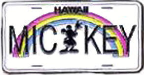 Hawaii Mickey
