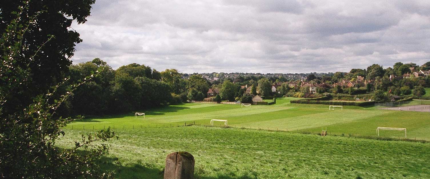 Berkhamsted from Cooper's Fields