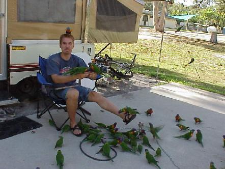 better not poop on my head