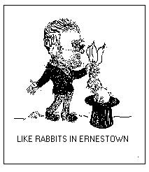 Ernestown Rabbits