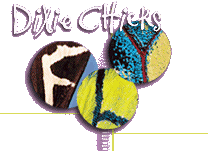 The official site of my favorite band