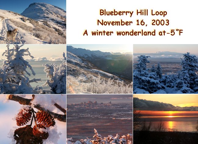 Blueberry Hill, chill