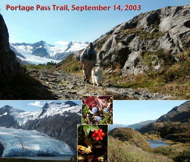 Portage Pass Trail