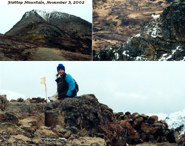 Flattop in November!