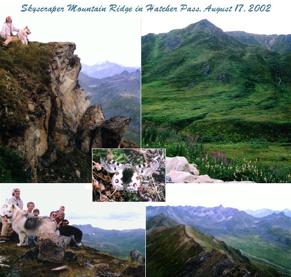 skyscraper ridge collage