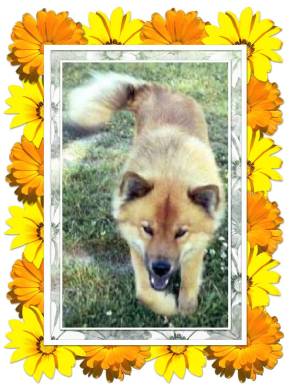 Memories always light the corners of my mind...