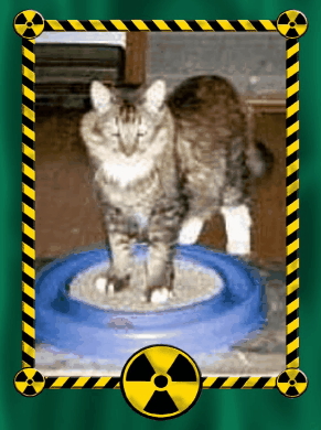 Kipling standing tough...