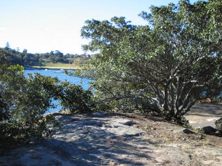 looking to Bedlam Point, Gladesville