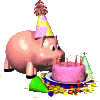 Pig eating cake