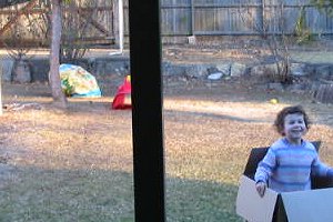 little jack-in-the-box