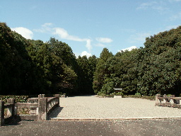 �_���V�c��