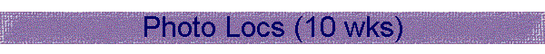 Photo Locs (10 wks)