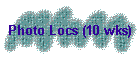 Photo Locs (10 wks)