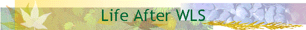 Life After WLS
