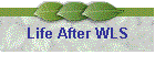 Life After WLS
