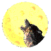howling at the moon