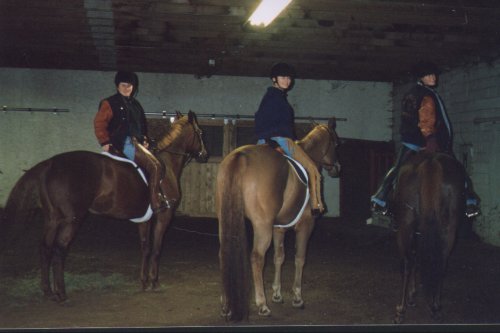 3pony.jpg (25254 bytes)