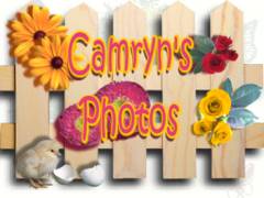 Camryn's Photos