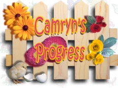 Camryn's Progress