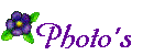 photo's