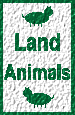 Land Animals!