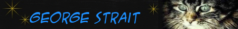 George Strait Banner