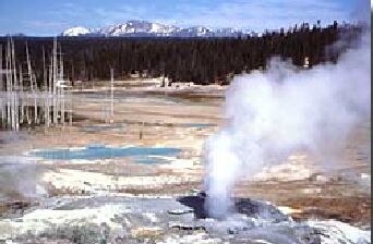 PORCBSN2.JPG (12385 bytes)