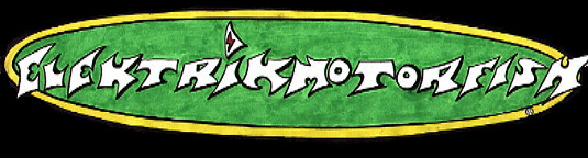Elektrik Motorfish