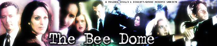 The Bee Dome - New Location!